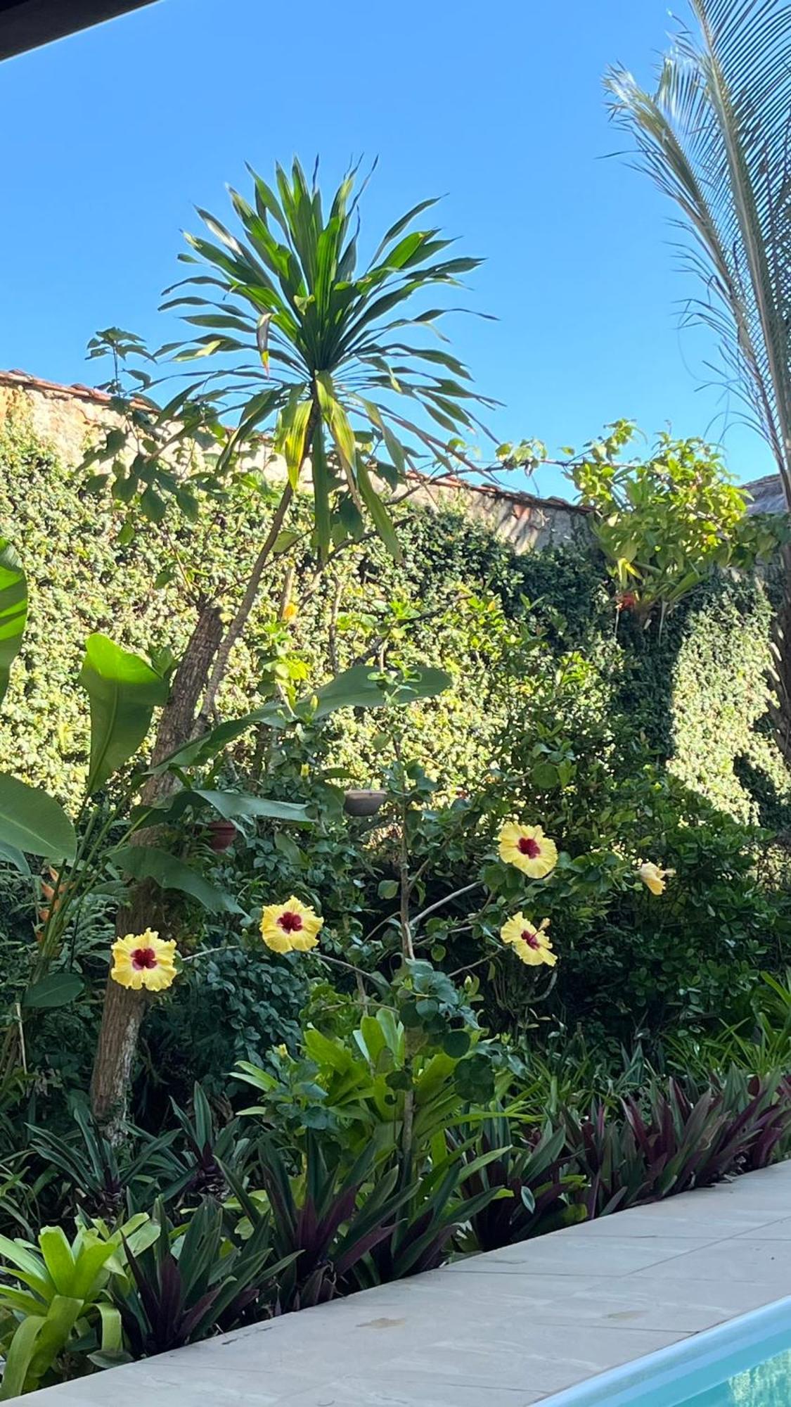 Floresta Mar