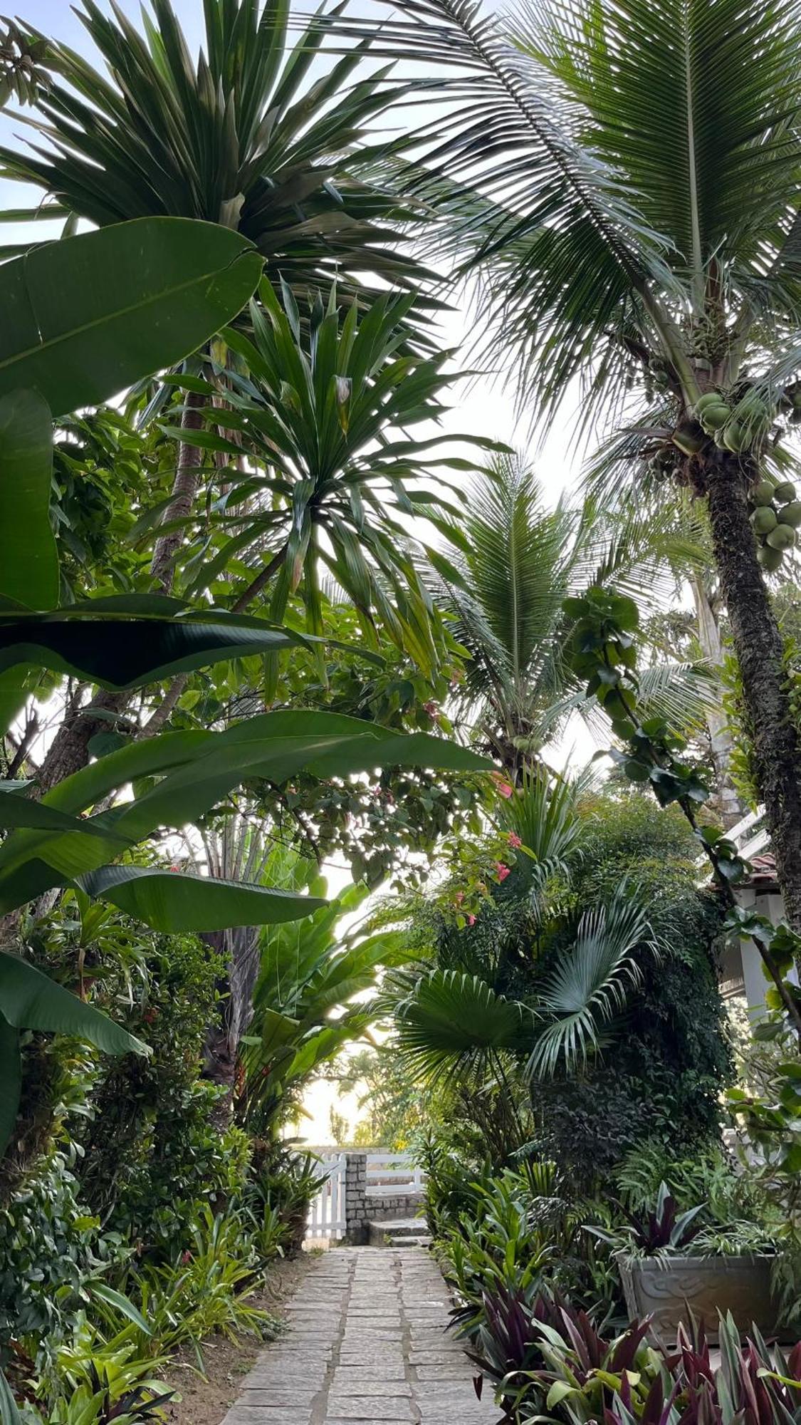 Floresta Mar *