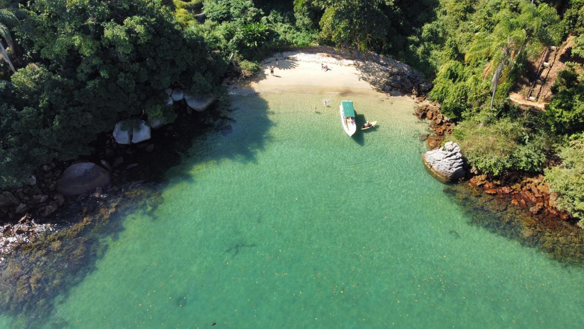 Floresta Mar *