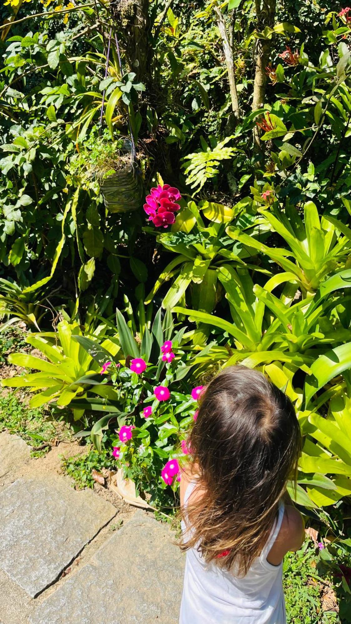 Homestay Floresta Mar